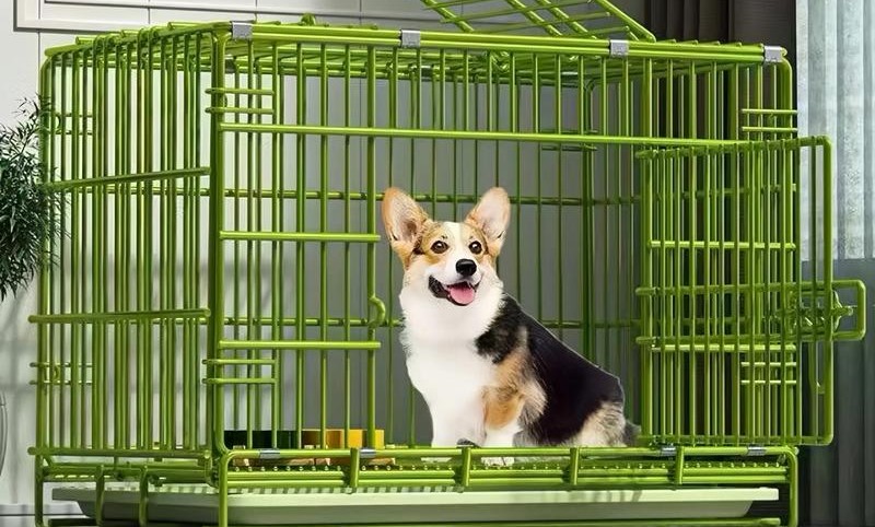 狗笼出口海外属于大件物品吗?
